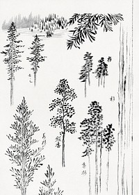 Hokusai's pine trees (1800-1900) vintage Japanese woodblock print. Original public domain image from the Rijksmuseum.   Digitally enhanced by rawpixel.