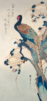 Japanese pheasant and chrysanthemums (1835) vintage woodblock print by Utagawa Hiroshige. Original public domain image from The MET Museum.   Digitally enhanced by rawpixel.