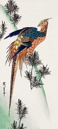 Pheasant (1797–1858) vintage Japanese woodblock print by Utagawa Hiroshige. Original public domain image from The MET Museum.   Digitally enhanced by rawpixel.