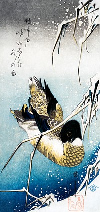 Mallard duck (1843) vintage Japanese woodblock print by Utagawa Hiroshige. Original public domain image from The MET Museum.   Digitally enhanced by rawpixel.