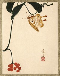 Shibata Zeshin's Red Berry Plant and Butterfly (1807-1891). Original public domain image from The MET Museum.    Digitally enhanced by rawpixel.