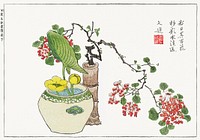 Botanical from Minchô shiken, Sorimachi 409 (1746) vintage Japanese woodblock prints by ôoka Shunboku. Original public domain image from the New York Public Library.   Digitally enhanced by rawpixel.