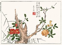 Botanical from Minchô shiken, Sorimachi 409 (1746) vintage Japanese woodblock prints by ôoka Shunboku. Original public domain image from the New York Public Library.   Digitally enhanced by rawpixel.