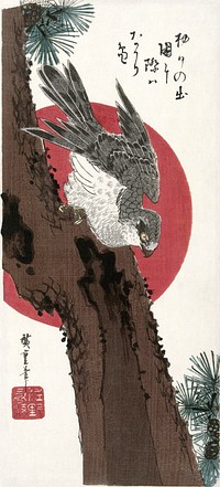 Hawk and red sun, vintage woodblock print by Utagawa Hiroshige. Original public domain image from the Rijksmuseum.   Digitally enhanced by rawpixel.