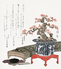 Plum blossom in pot (1830) vintage Japanese print by Keisai Eisen. Original public domain image from the Rijksmuseum.   Digitally enhanced by rawpixel.