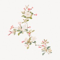 Vintage crab-apple blossom.   Remastered by rawpixel. 