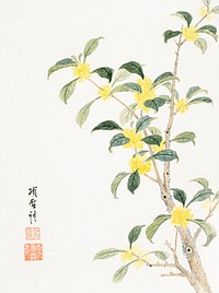 Cassia blossom (1656) vintage Chinese painting by Xiang Shengmo. Original public domain image from the Minneapolis Institute of Art.   Digitally enhanced by rawpixel. Digitally enhanced by rawpixel.