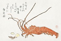 Lobster and Shells (1800-1805) by Kubota Shunman. Original public domain image from the Rijksmuseum.   Digitally enhanced by rawpixel.