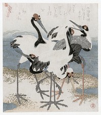 Five cranes (1816) vintage Japanese print by Kubota Shunman. Original public domain image from the Rijksmuseum.   Digitally enhanced by rawpixel.