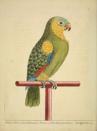 Original public domain image from Biodiversity Heritage Library.