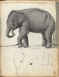 Original public domain image from the Rijksmuseum