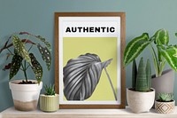 Aesthetic framed photo with houseplant, home decor