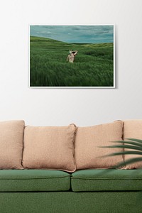 Nature framed photo on living room wall