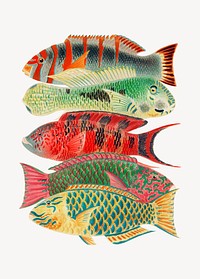 Fish illustration sticker, vintage design psd