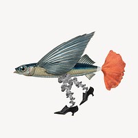 Fish collage element, vintage animal illustration remix psd