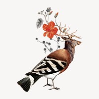 Hybrid bird collage element, vintage animal illustration remix psd
