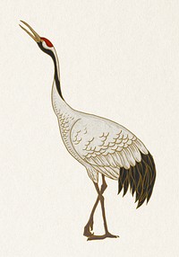 Watanabe Shoka's crane bird, oriental animal illustration