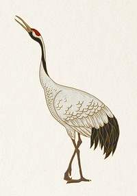 Watanabe Shoka's crane bird, oriental animal illustration psd