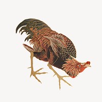 Hokusai's Gamecock, oriental chicken illustration psd