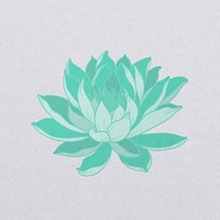 Vintage green water lily psd