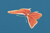 Orange aesthetic butterfly, vintage insect illustration psd