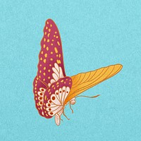 Pink vintage butterfly, insect illustration psd