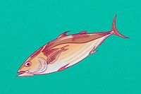 Tuna fish, vintage Japanese animal illustration psd