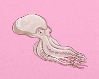 Octopus, vintage sea animal illustration