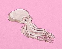 Octopus, vintage sea animal illustration psd