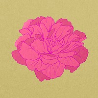 Aesthetic peony, vintage Japanese flower psd