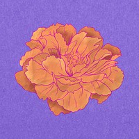 Aesthetic peony flower, Japanese psd