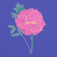 Vintage pink peony, aesthetic Japanese flower psd