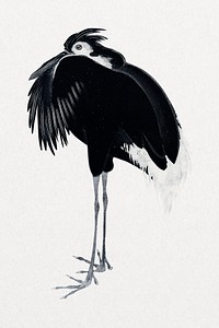 Black Japanese crane, vintage bird illustration psd