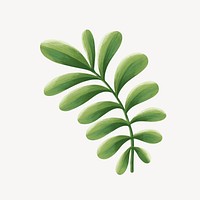 Tropical leaf collage element, botanical illustration psd