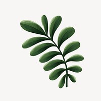 Tropical leaf collage element, botanical illustration psd