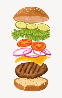 Hamburger anatomy, fast food illustration