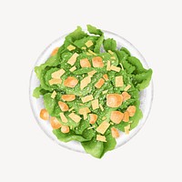 Organic salad, healthy food illustration vector