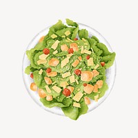 Caesar salad, healthy food illustration