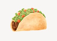 Soft taco, Mexican food illustration vector