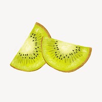 Kiwi slices, realistic fruit illustration vector