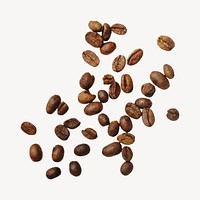 Fresh coffee beans image