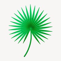 Fan palm 3D green botanical illustration