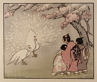 Helen Hyde's The White Peacock (1914). Original public domain image from the Smithsonian.