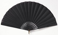 Pleated fan and case