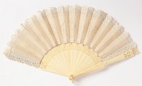 Pleated fan and case