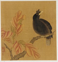 A blackbird on a branch; autumn leaves, formerly attributed to Zhao Boju