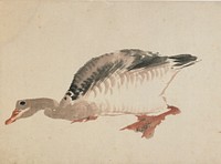 Goose by Katsushika Hokusai