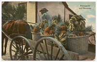 Postcard of a banana and pineapple vendor