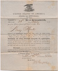 Naturalization papers for Henry Richard Meade