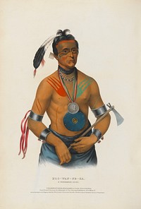 Hoo-wan-ne-ka - A Winnebago Chief